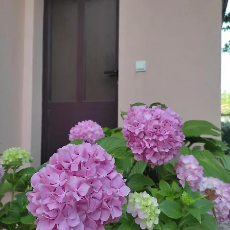 Da Vjeri Apartment *