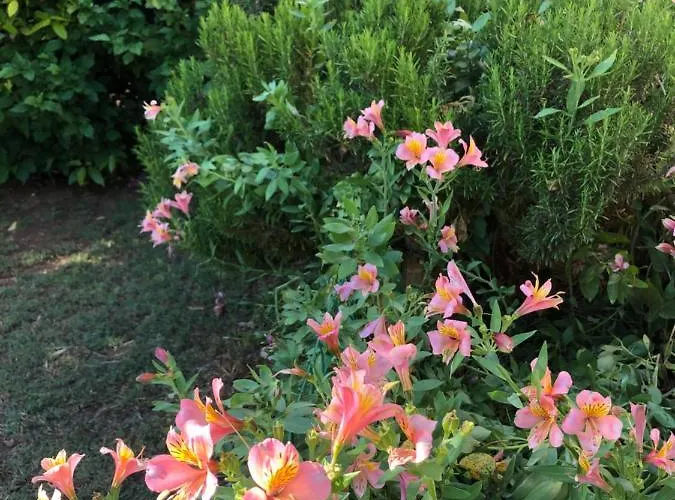 Διαμέρισμα Da Vjeri *