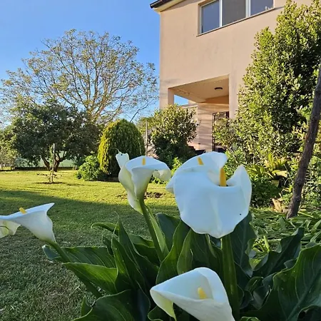 Da Vjeri Apartman Póla