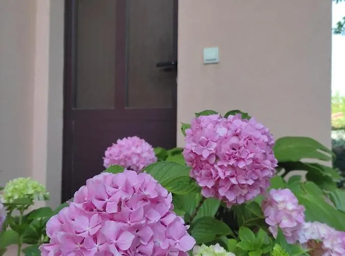 Da Vjeri Apartman *