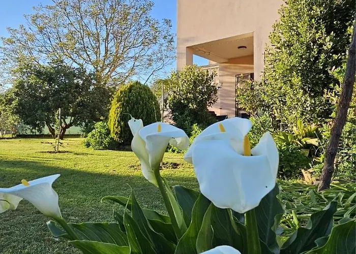 Da Vjeri 아파트 풀라